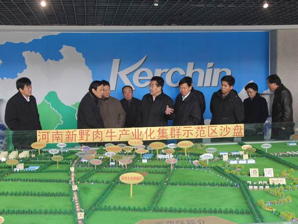 河南省委常委,副省长刘满仓调研科尔沁牛业新野肉牛产业化集群示范区