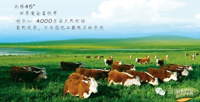 科尔沁牛业